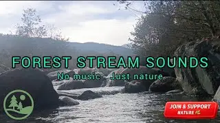 30 Minutes of Real River Sound | Pure Nature, No Loop | Mountains & Forest 🌿