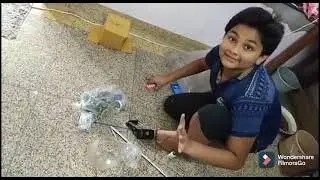 My fish aquarium setup fish and accessories