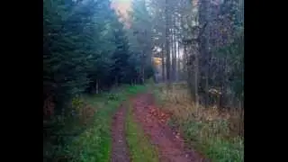 Samhain Invocation