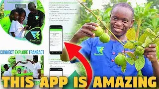 This Agribusiness App Is The Best Resource For Understanding Farm Markets in UGANDA (FARM KIOSK)