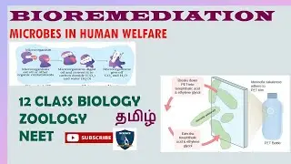 Bioremediation in Tamil | Microbes in Human Welfare I Zoology | Class 12 | NEET