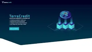TERRACREDIT - обзор платформы и токена CREDIT
