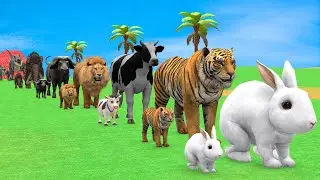 Long Slide Game with Cow Elephant Gorilla Hippopotamus Tiger 3d Animal Game Funny 3d Animals