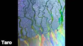 Alt-J (∆) ~ Taro Lyrics (HQ)