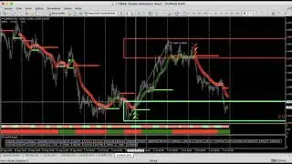 Over 800 hundred Pips only this week! This how powerful Simplicity System is