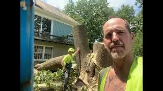 Type of Way HOMIE QUAN TREEWORK TREE FELLERS Three Brothers Construction