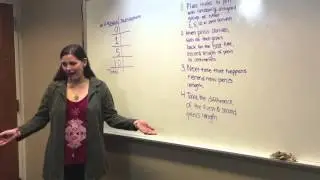 Duck Penis Experiment