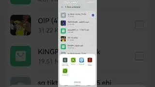 HTTP INJECTOR how to import ur ehi to app.....