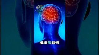 Morning Drinks That Repair the Brain & Strengthen Nerve Function Naturally. #BrainHealing #nerverepa
