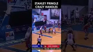 Stanley Pringle Crazy Handles