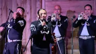 Mariachi Aguila Performance 2025
