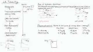 Local Anesthetics 6 - Volume of Distribution for Local Anesthetics