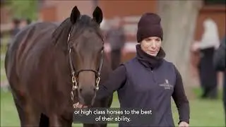 Invest In The Best: Bloodstock with a Global Legacy - Highclere Stud