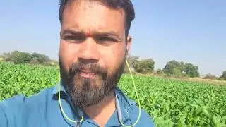 हे काय चालू आहे शेतात चला दाखवतो #farming #शेती #शेतकरी 