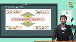 Biology Revision for SSLC students | Chapter 3 Chemical Messages for Homeostasis | Candela Learnings