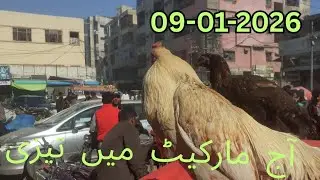 Murga Market | Aj Murgon Ki Kimatein | 09-01-2026  | Tower Market | Hyderabad 