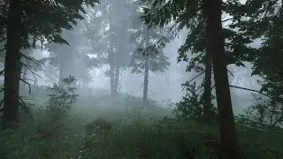[4K] Skyrim SE 2025 - The Skyrim I've Shaped Over Years
