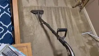Carpet Cleaning in Memphis TN | Pet Enzyme Treatment | Healthy Home Services