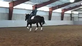 Jennifer Kirsch riding Sable 2019