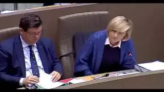 Hilde Crevits wordt onwel in Vlaams Parlement