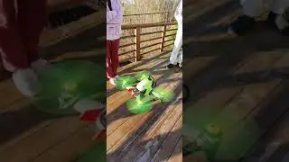 FPV DRONE spinning #dji #djifpv #djifpvdrone #fpvdrone #fpv #drone #dronevideo