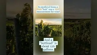 Buttloads Of Wine
