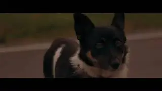 Canon 650D - 50mm f1.8 - Magic Lantern RAW Video Test