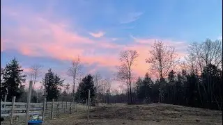 1/15/26 Horses in the Rain #horse #rescue #rain