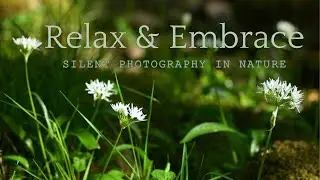 Silent Photography & Hiking In Spring