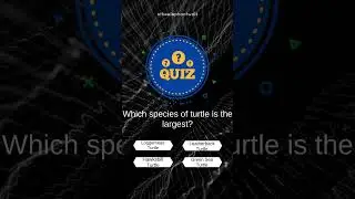 Wild Animal Trivia: Subscribe for Bite-sized Surprises! #Subscribe #Shorts #animalquizz #animalquiz