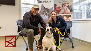 A trip to RHSPCA with Keenan Moore