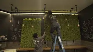 QG Floral Time Lapse - Preserved Moss Wall Installation