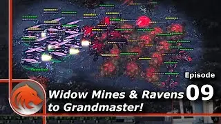 StarCraft 2: MASS Zerg Air vs Widow Mines & Ravens?