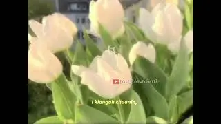THIH  LEH   DAM   INKAR  .... Tun lai hla lar em