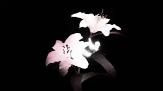 [FREE FOR PROFIT] Amir.prod x New Jazz type beat- &ldquo;Do to Me&rdquo;