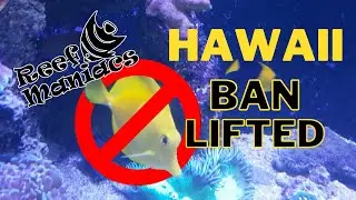 Hawaii Ornamental Fish Ban Lifted