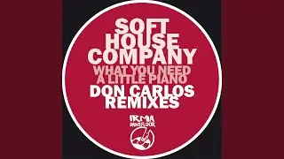 What You Need (Don Carlos Ambient Mix)