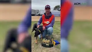 Meet the top working dog at the 2025 Australian Sheep & Wool Show