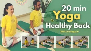 20 min Yoga for Healthy Back | Daily Practice for Pain Relief & Posture | Beginners Friendly 