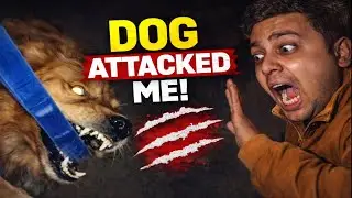“Aaj Bach Gaya! 🐕 Dog Ne Almost Kaat Hi Liya 😨 | Real Vlog”