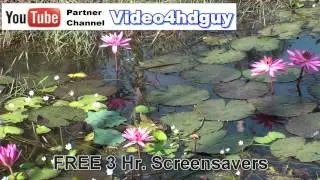 Art4HD preview channel view screensavers at video4HDguy channel