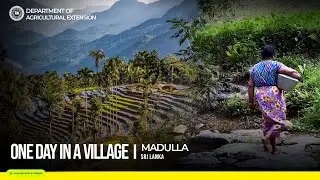 One day in a village (Social dynamics in a rural community)