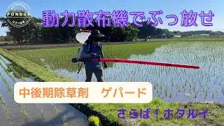 【丸山MDJ7000】動力散布機で中後期除草剤散布　ゲパードでさらばホタルイ