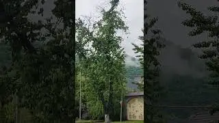 Габала