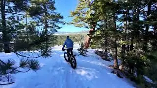 Sawtooth Fat