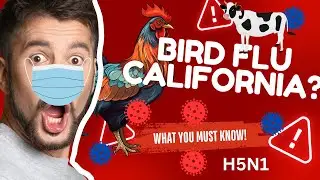 California Declares State of Emergency over bird flu outbreak