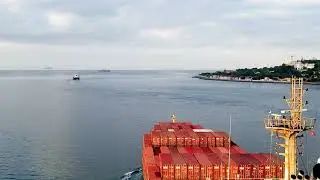 Usos y Aplicaciones de precintos aduaneros