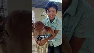 Ramana Maharshi, Cow Lakshmi & the Spiritual Roots of Sustainability | GoPals