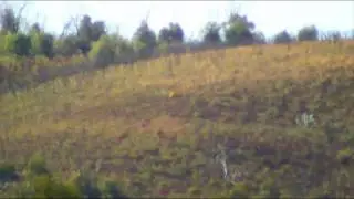 SAKO TRG 22 1215m Shot .308Win