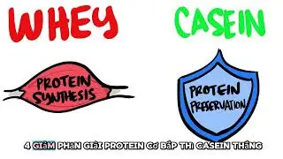 Whey Protein And Casein? Which One Should You Use For Best Optimum Results?